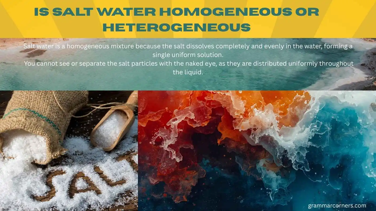 is-salt-water-homogeneous-or-heterogeneous