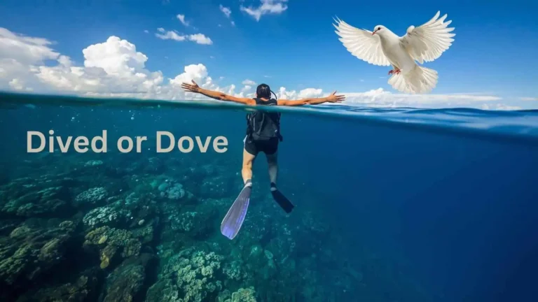 dived-or-dove